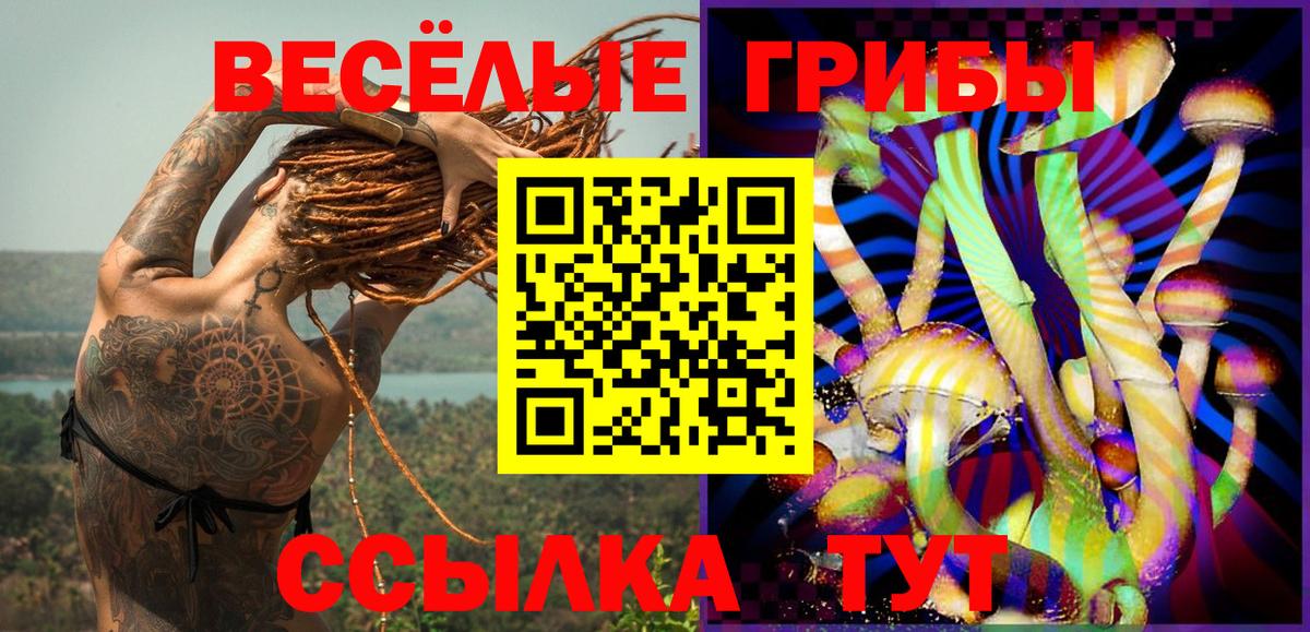Анапа  Галлюциногенные грибы Psilocybe  Вход с VPN 